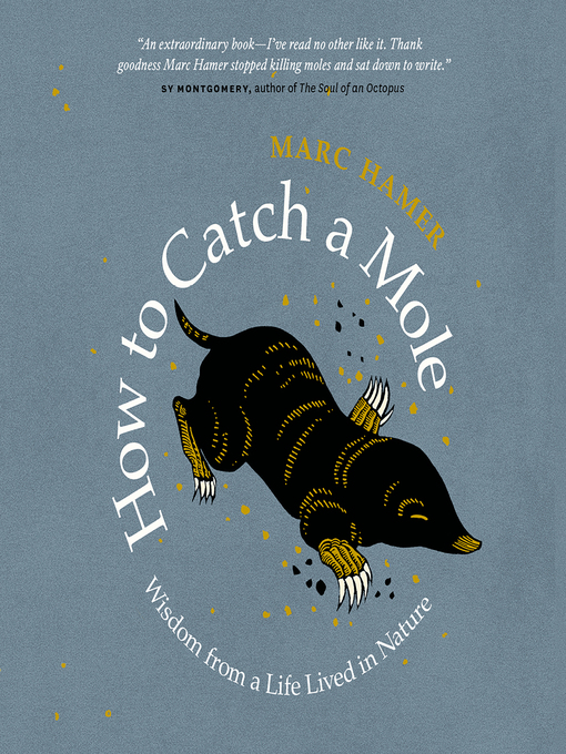 Title details for How to Catch a Mole by Marc Hamer - Available